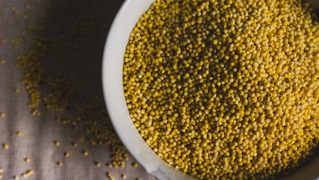 The Rise of Millets: A Superfood Revolution for a Healthier Tomorrow